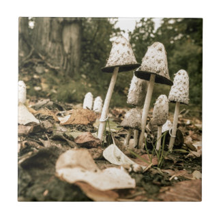 Shaggy Mane Mushrooms Tile