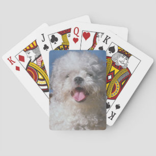 Shaggy Poodle Dog Playing Cards