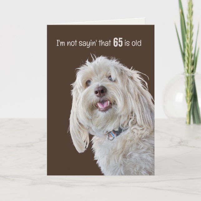 Shaggy Poodle for 65th Birthday Humour  Card (Front)