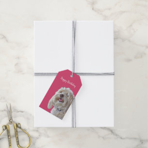 Shaggy Poodle On Pink Gift Tags