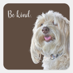Shaggy Poodle with Quote Square Sticker