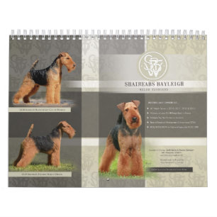 Shaireabs Bayleigh 2014 Welsh Terrier Calendar