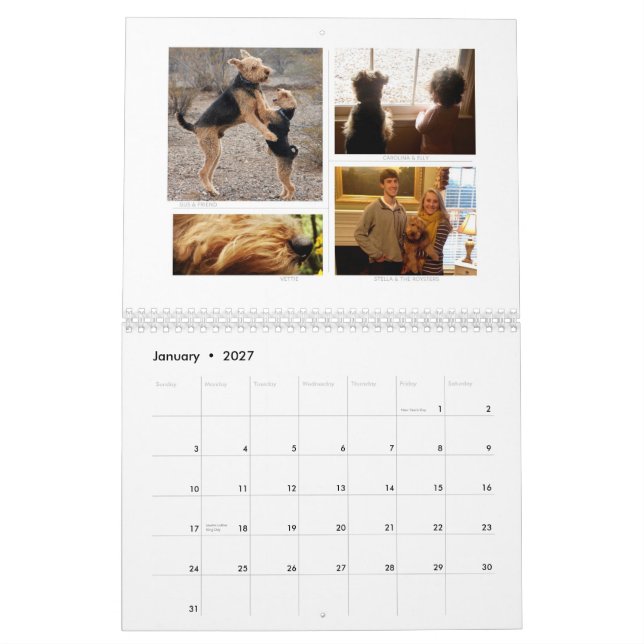 Shaireabs Bayleigh 2014 Welsh Terrier Calendar (Jan 2027)