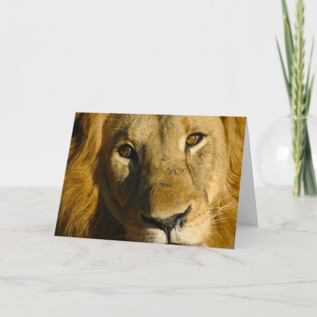 Shaka Eye of the Lion Card (Front)