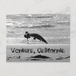 Shake a Leg Postcard