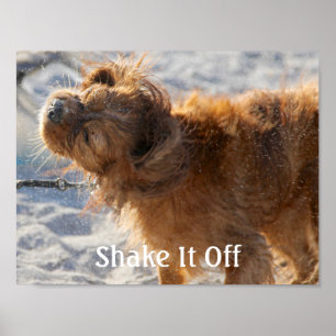 Shake It Off Poster