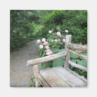 Shakespeare Garden Bench Roses Central Park NYC