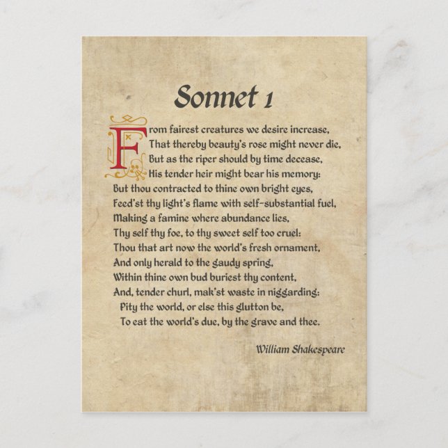 Shakespeare Sonnet 1 Parchment Postcard (Front)