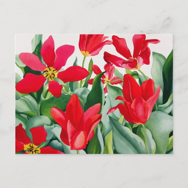 Shakespeare Tulips Postcard (Front)