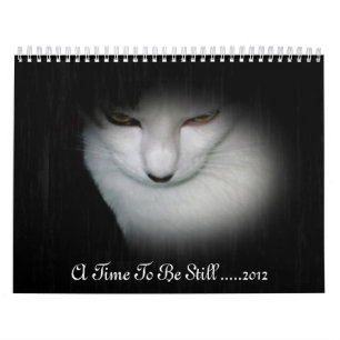 Shakira 2012 Calendar !