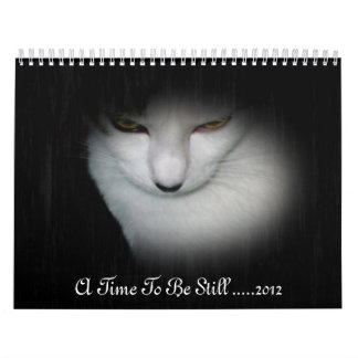 Shakira 2012 Calendar !