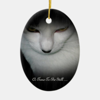 Shakira's Time To Be Still Ornament ...