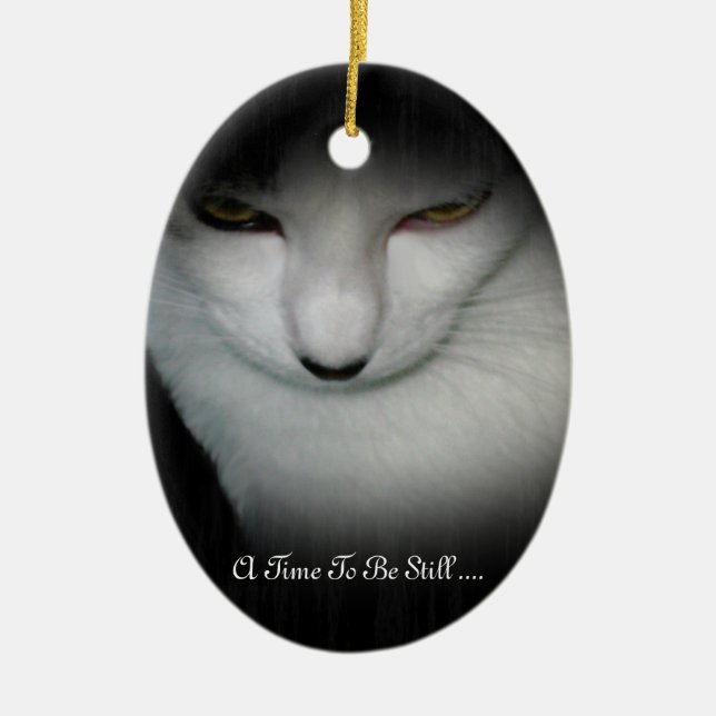 Shakira's Time To Be Still Ornament ... (Front)