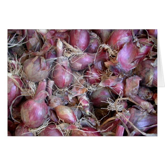 Shallot Blank Card (Front Horizontal)