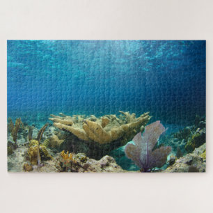 Shallow Coral Reef 20"x30" Jigsaw Puzzle