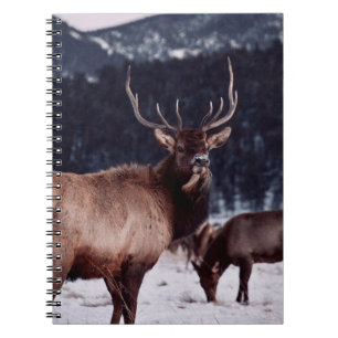 SHALLOW FOCUS PHOTO OF BROWN DEER NOTEBOOK