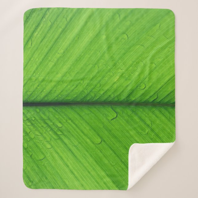 Shallow focus photo of green leaf sherpa blanket (Front)