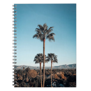 Shallow focus photo of palm trees in the morning notebook
