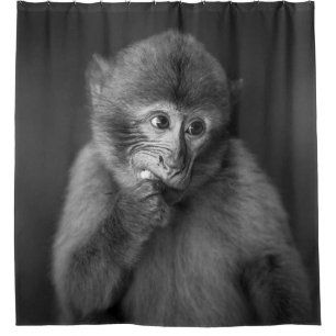 SHALLOW FOCUS PHOTOGRAPHY OF BLACK MONKEY