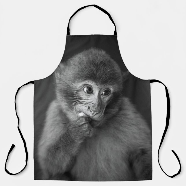 SHALLOW FOCUS PHOTOGRAPHY OF BLACK MONKEY APRON (Front)