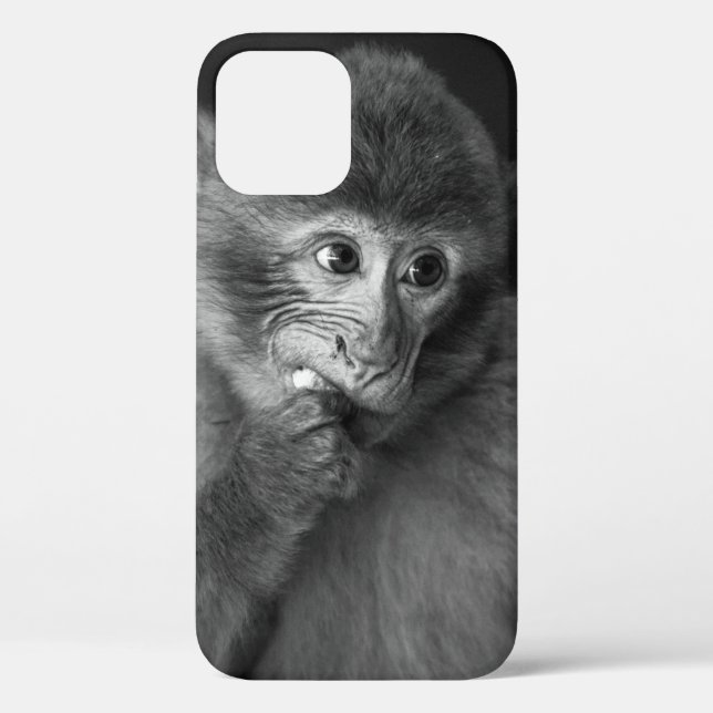 SHALLOW FOCUS PHOTOGRAPHY OF BLACK MONKEY Case-Mate iPhone CASE (Back)