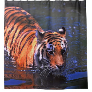 SHALLOW FOCUS PHOTOGRAPHY OF BROWN AND BLACK TIGER