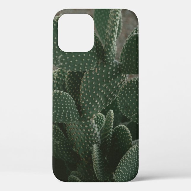 SHALLOW FOCUS PHOTOGRAPHY OF CACTUS Case-Mate iPhone CASE (Back)