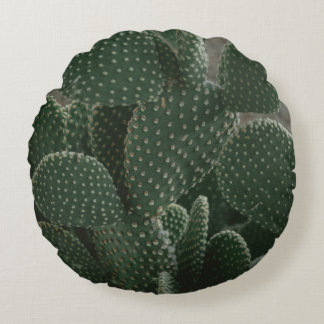 SHALLOW FOCUS PHOTOGRAPHY OF CACTUS ROUND PILLOW