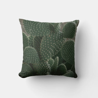 SHALLOW FOCUS PHOTOGRAPHY OF CACTUS THROW PILLOW