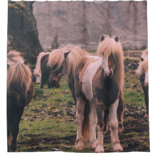 SHALLOW FOCUS PHOTOGRAPHY OF HORSES