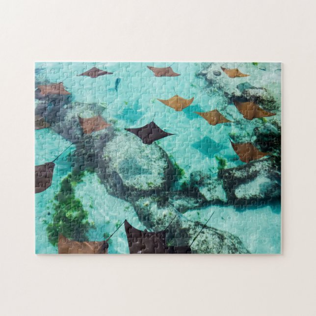 Shallow Water | Stingrays Jigsaw Puzzle (Horizontal)