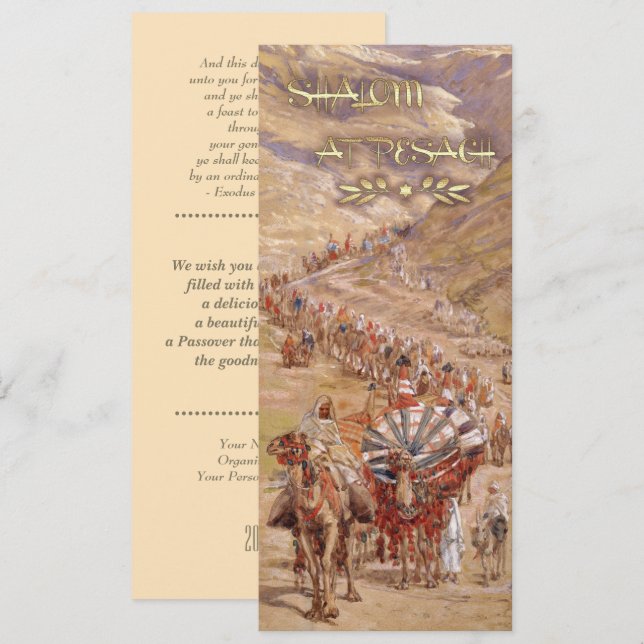 Shalom at Pesach. Fine Art Passover Greeting Card (Front/Back)