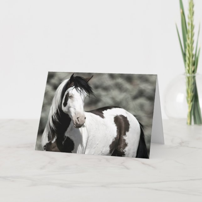Shaman la Mustang Carte de notes pliées (Devant)