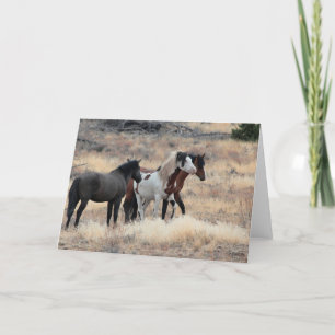 Shaman WildCard  Thank You Card