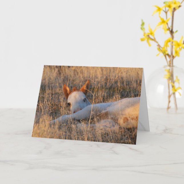 Shaman's Little Legend Greeting Card (Yellow Flower)