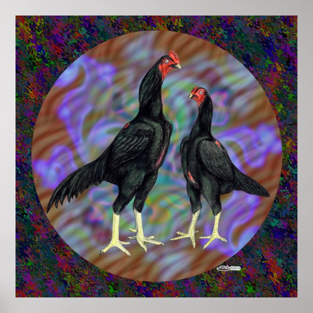 Shamo:  Black Pair Poster (Front)