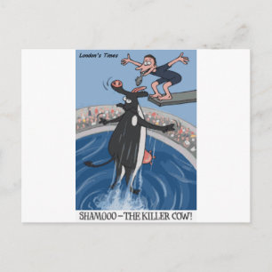 Shamooo Funny Cow Gifts & Collectibles Postcard