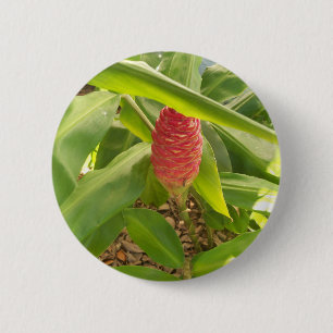 Shampoo Ginger flower 2 Inch Round Button