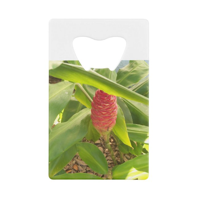 Shampoo Ginger flower Credit Card Bottle Opener (Front)