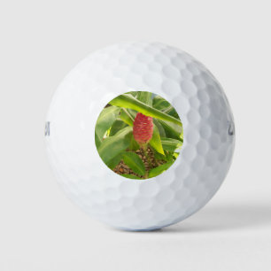 Shampoo Ginger flower Golf Balls