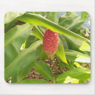 Shampoo Ginger flower Mouse Pad