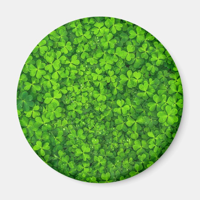 Shamrock Clovers Green Irish Symbol Ireland Magnet (Front)