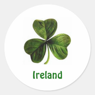 Shamrock de l'Irlande - autocollant