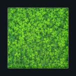 Shamrock green, St. Patrick's Day, Magnet<br><div class="desc">Shamrock green,  St. Patrick's Day celebration.</div>