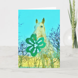 Shamrock Horses Card