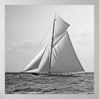 Shamrock II at Outer Mark 1901 BW Poster