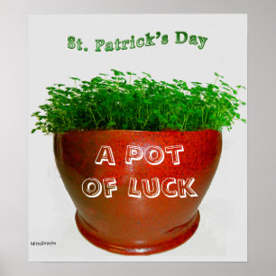 Shamrock Pot Poster