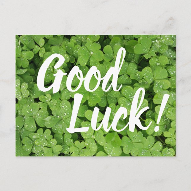 Shamrock vert Bonne chance carte de voeux (Devant)
