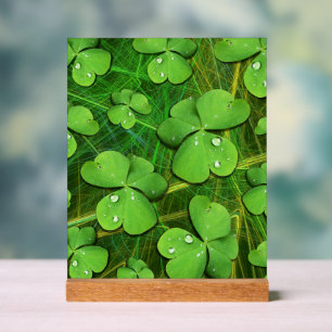 Shamrock vert St Patrick iPhone 5 Coque-Mate