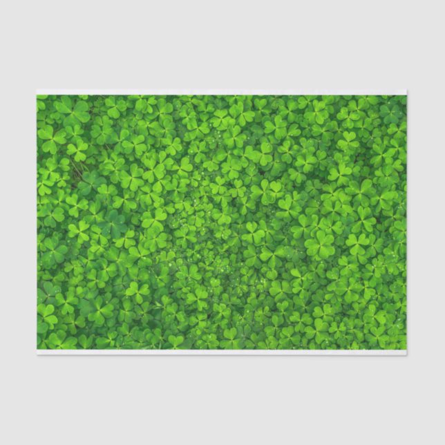 Shamrocks Clover Leaves St. Patrick's Day Festive Tissue Paper (Front)